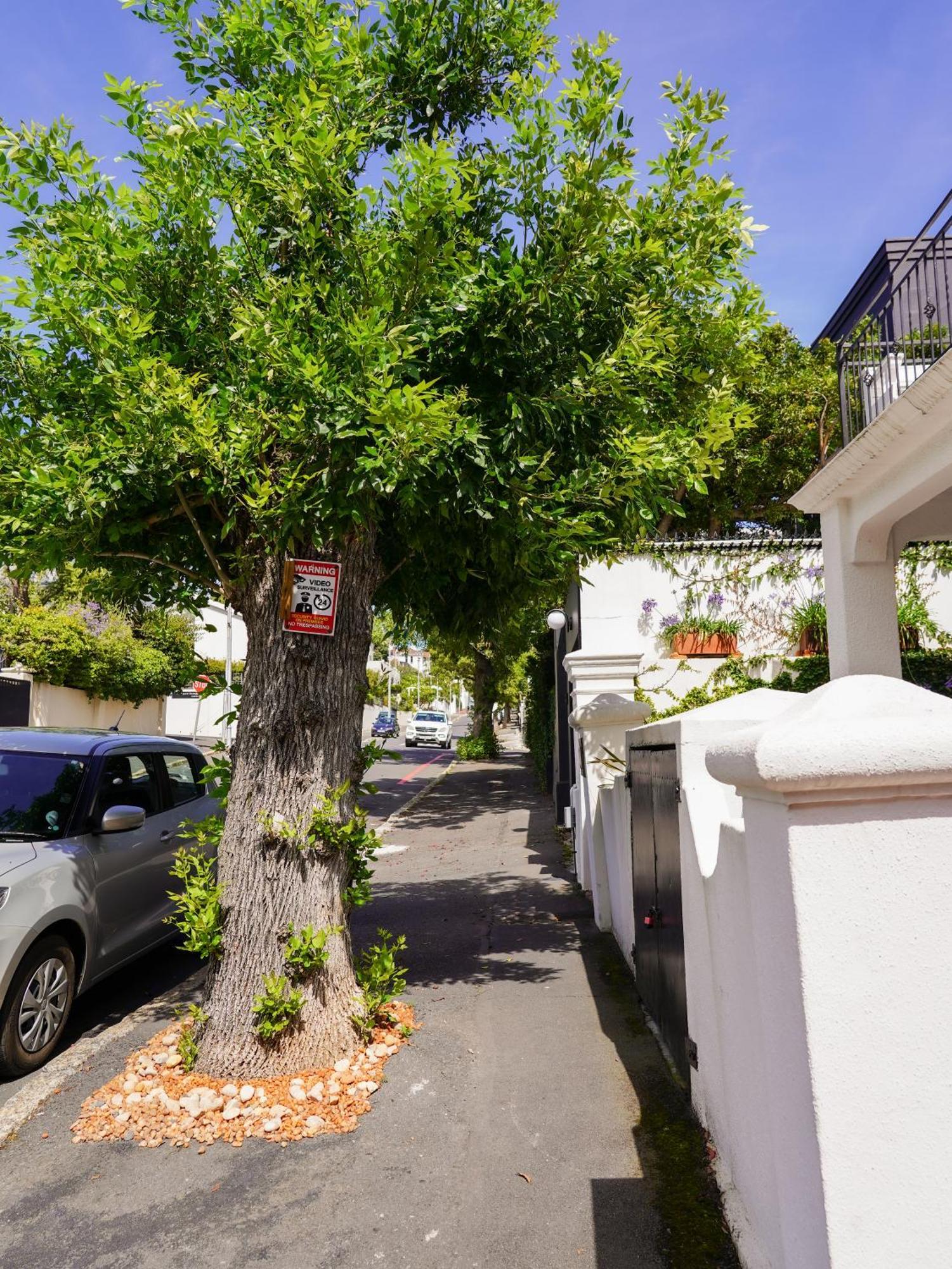 Belmont Guest House Ciudad del Cabo Exterior foto