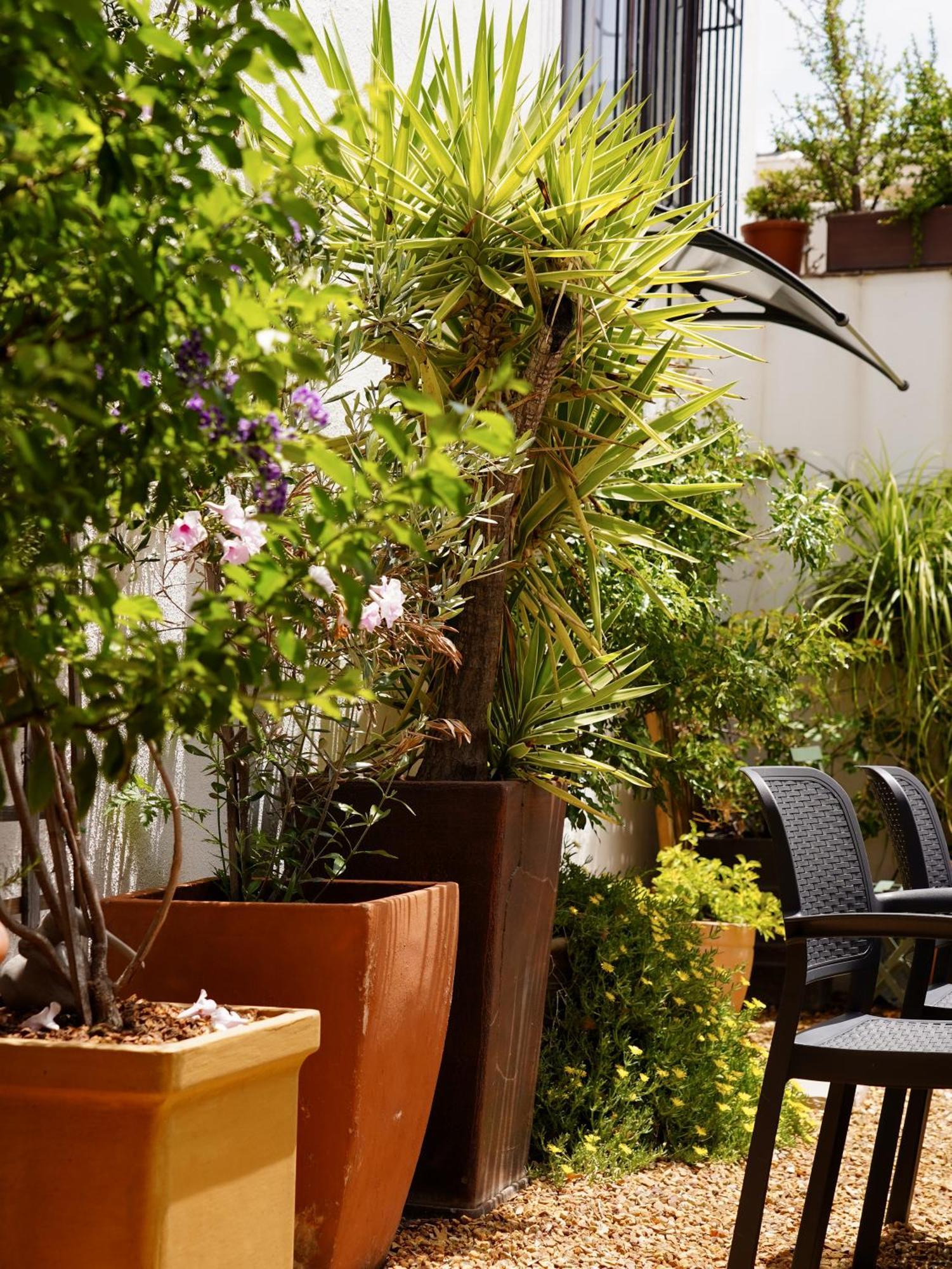 Belmont Guest House Ciudad del Cabo Exterior foto